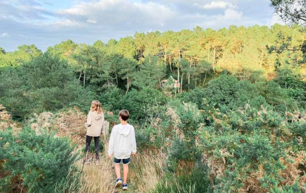 que faire dans le morbihan